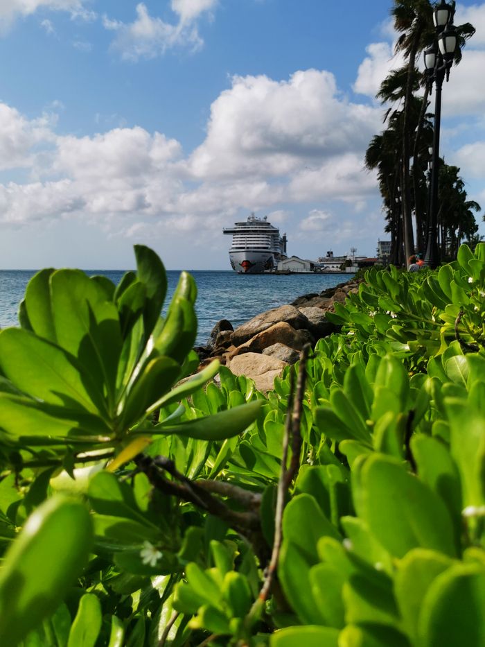 Scenic view of a tropical harbor featuring a cruise ship, lush greenery, and clear skies.
